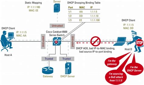 show dhcp snooping cisco